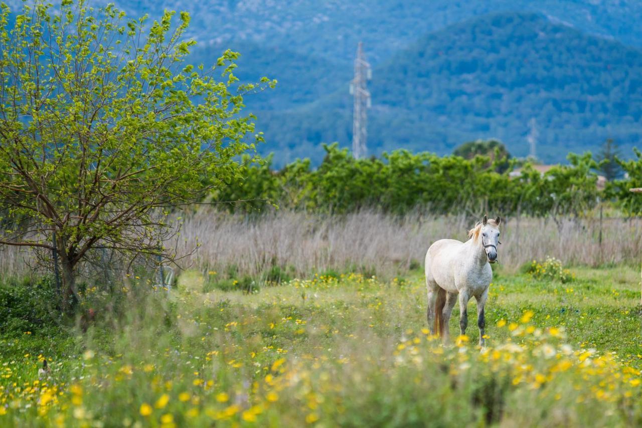 Traumhafte Finca Son Senyor - Mit Pferdekoppel Vila Sa Pobla Exterior foto